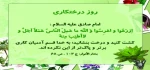 درختکاری
