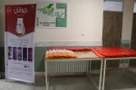 برگزاری طرح سفیران سلامت