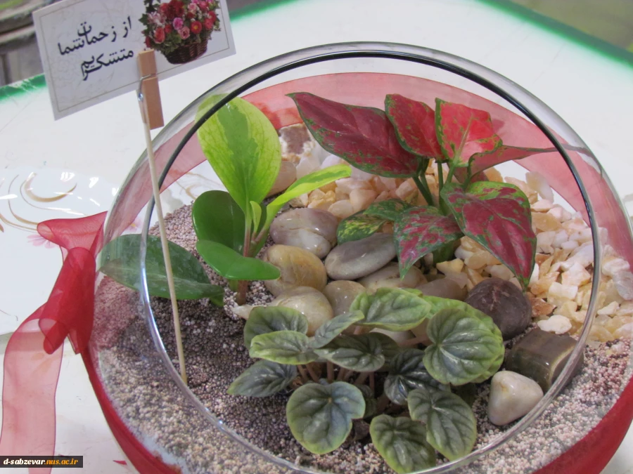 دومین جلسه دفاعیه دانشجویان کارشناسی ارتباط تصویری مرداد96