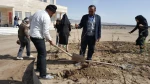 15 اسفند روز درختکاری با شعار هر دانشجو یک درخت
