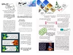 برگزاری مراسم سوگواری دهه آخر ماه صفر در در دانشکده های فنی سبزوار /گزارش تصویری 3