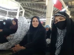 حماسه حضور در قاب تصویر  2