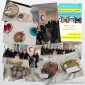 تجربه یک روز خوشمزه با غذاهای بومی و محلی دستپخت دانشجویان دانشکده فنی و حرفه ای