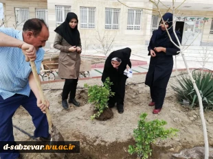 آیین درختکاری در  دانشکده فنی و حرفه ای دختران سبزوار  به روایت  تصویر  4