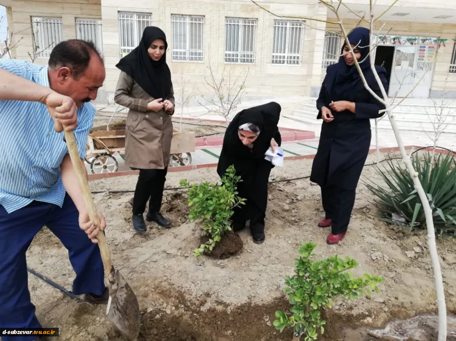 آیین درختکاری در  دانشکده فنی و حرفه ای دختران سبزوار  به روایت  تصویر  4