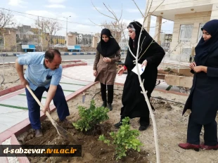 آیین درختکاری در  دانشکده فنی و حرفه ای دختران سبزوار  به روایت  تصویر  5