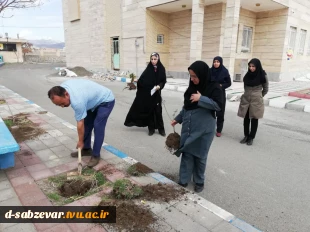 آیین درختکاری در  دانشکده فنی و حرفه ای دختران سبزوار  به روایت  تصویر  6