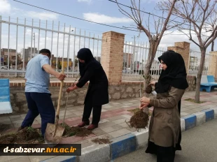 آیین درختکاری در  دانشکده فنی و حرفه ای دختران سبزوار  به روایت  تصویر  7