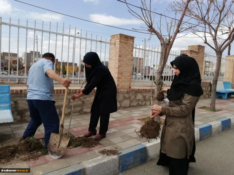 آیین درختکاری در  دانشکده فنی و حرفه ای دختران سبزوار  به روایت  تصویر  7