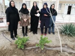 آیین درختکاری در  دانشکده فنی و حرفه ای دختران سبزوار  به روایت  تصویر  9