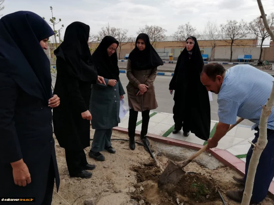 آیین درختکاری در  دانشکده فنی و حرفه ای دختران سبزوار  به روایت  تصویر  10