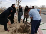 آیین درختکاری در  دانشکده فنی و حرفه ای دختران سبزوار  به روایت  تصویر  11