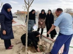 آیین درختکاری در  دانشکده فنی و حرفه ای دختران سبزوار  به روایت  تصویر  12