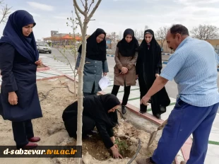 آیین درختکاری در  دانشکده فنی و حرفه ای دختران سبزوار  به روایت  تصویر  12