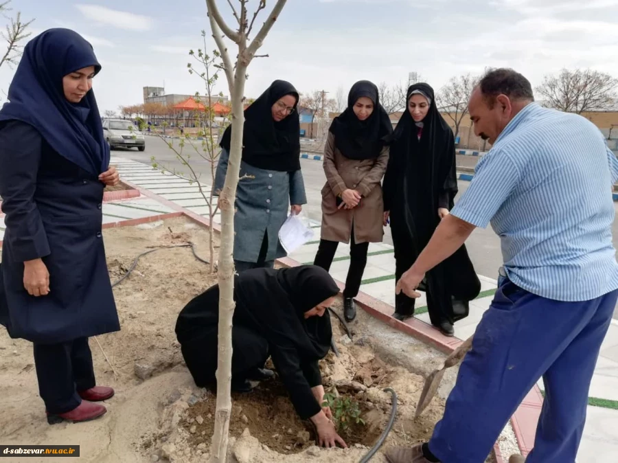 آیین درختکاری در  دانشکده فنی و حرفه ای دختران سبزوار  به روایت  تصویر  12