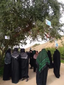 بازدید از مناطق عملیاتی جنوب کشور(راهیان نور ) دانشکده فنی و حرفه ای دختران سبزوار  12