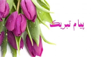 افتخار آفرینی دانشجویان دانشکده ملی مهارت دختران سبزوار در سومین جشنواره ملی پروین اعتصامی
