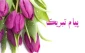 افتخار آفرینی دانشجویان دانشکده ملی مهارت دختران سبزوار در سومین جشنواره ملی پروین اعتصامی